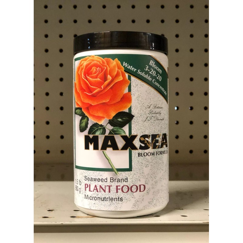 Bloom Maxsea BLOOM 3-20-20 Plant Food - Water Soluble Seaweed
