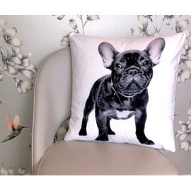 The Beach Stop Decorative French Bulldog Dog Scatter Cushion Cover | Home Decor Inspo | Gift Idea for Frenchie Lovers | 45x45cm 18x18” | Black French Bulldog