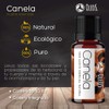 VIDA SCENTS OLEOS Aceite Esencial de Canela 10 ML 100%