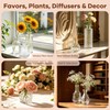 HTTBEIZI 40 Pack Glass Bud Vases in Bulk, Clear Small