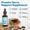 Rejuvica Nerve Factor - Liquid Nerve Support Supplement | Boost