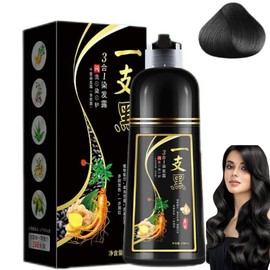 SINYI Champú Instant Hair Color para Cabello 500ml，Champú para Teñir el Cabello，Cobertura 100% de Canas，3 en 1 champú con tinte natural para el cabello（negro）