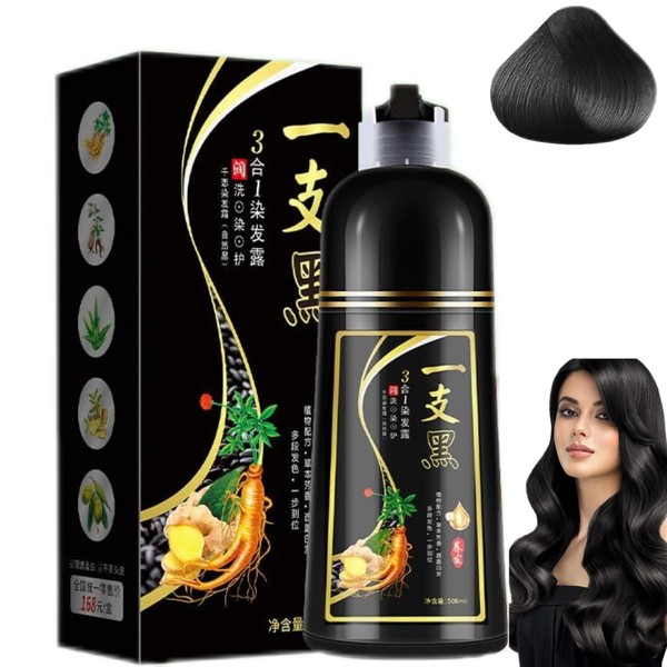SINYI Champú Instant Hair Color para Cabello 500ml，Champú para Teñir