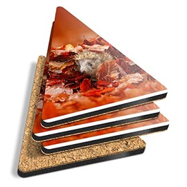 4 x Triangle Coasters - Adorable Hedgehog Garden Wildlife Cork Backed MDF Glossy Tea Coffee Accessory #8852