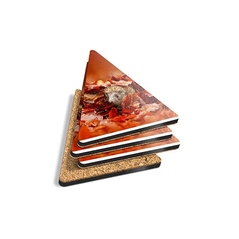 4 x Triangle Coasters - Adorable Hedgehog Garden Wildlife Cork