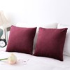 PiccoCasa Velvet Cushion Covers Set of 2 Stylish Nordic Decorative