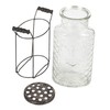 Creative Co-Op Glass vase in Metal Stand with Metal Frog