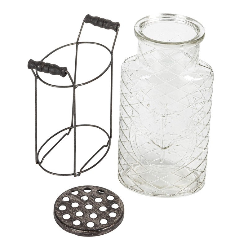 Creative Co-Op Glass vase in Metal Stand with Metal Frog