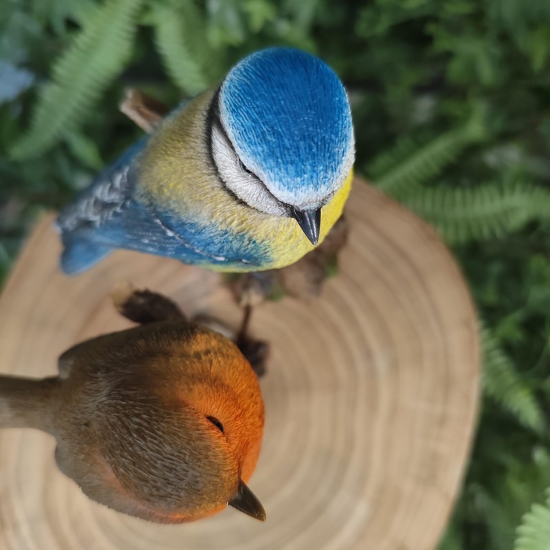 Vivid Arts - British Birds Robin & Blue Tit Home
