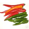 CEMEHA SEEDS - Seeds Indoor Ornamental Hot Pepper Mix Non