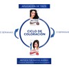Tinte Retoque Raíz Permanente Miss Clairol 91 Rubio Cenizo Claro