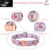 Babole Pet Adjustable Summer Dog Collar - Cute Pink Flamingo