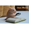 Gemmia Miniature Garden Fairy Book Lover Reading Figurines- Schoolbag Rabbit(Notice