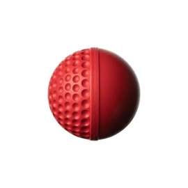 GA SWINGA Technique Cricket Ball