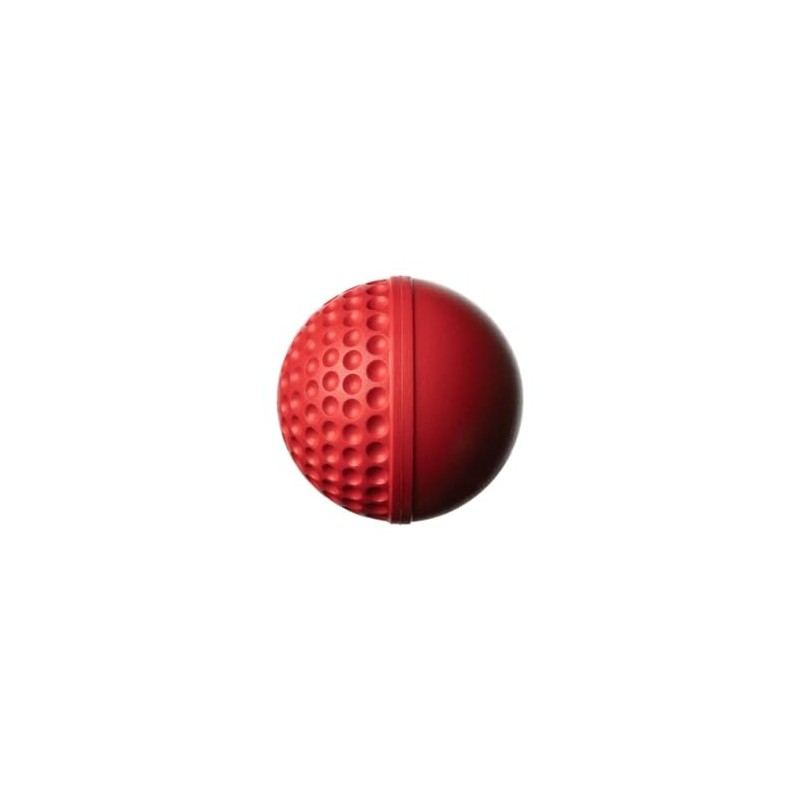 GA SWINGA Technique Cricket Ball