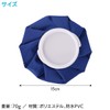 ENN LLC Ice Bags Icing Sandbags Heat Stroke Prevention Cooling