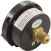 Pentair 190059 Rear Mount Pressure Gauge Replacement Pool/Spa Valve and