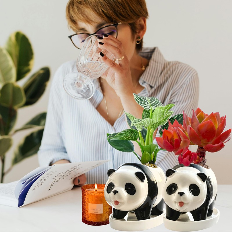 KEEPPACE 2PC Panda Bamboo Planter Pots-5.7 Inch Ceramic Animal Planters
