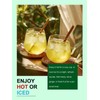 TeeLux Gunpowder Green Tea Loose Leaf, Mellow & Smooth Taste,