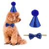 Pet Hat and Bow Tie, 2pcs/Set Dog Cat Birthday Cap