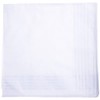 Men's Formal Handkerchief, White, Off-White, Ceremonial Occasions (Off White Plaid)