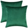 Artcest Set of 2, Cozy Solid Velvet Throw Pillow Case,