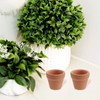 Toddmomy 10Pcs Mini Terracotta Pots Clay Pottery Planter Succulent Nursery