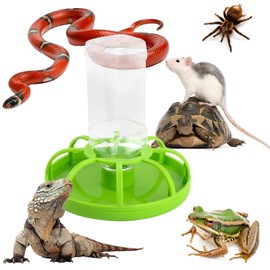 shallyong Turtle Water Bowl, Turtle Accessories, Reptile Accessories, Land Turtles Water Bowl for Small Animals such as Turtles, Lizards, Hamsters (Green) Reptiles Feeding Bowl (Green)