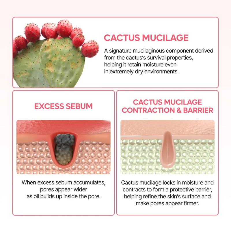 Dr.Melaxin Cactox Pore Dual Capsule Cream Pore Minimizing Hydrating Face