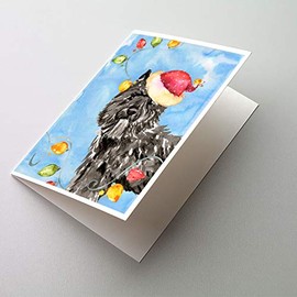 Caroline's Treasures CK2470GCA7P Christmas Lights Bouvier des Flandres Greeting Cards and Envelopes Pack of 8 Blank Cards with Envelopes Whimsical A7 Size 5x7 Blank Note Cards