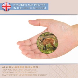 Destination Vinyl ltd Magnet for Refrigerator, Fridge - Cute Maned Wolf Dog Animal for Office, Cabinet and Whiteboard, Magnetic Stickers, 3451