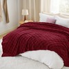 Bedsure Red Fleece Blanket for Couch - Super Soft Cozy