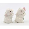 Appletree Appletree Designs Cosmos 10588 Salt & Pepper Shaker, 1