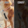 YUEPET Dog Safety Collar Clips 2 Pack Adjustable Prong Backup