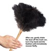 Aldwin Ostrich Feather Duster, 16 inch Black Genuine Ostrich Feathers