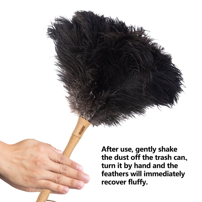 Aldwin Ostrich Feather Duster, 16 inch Black Genuine Ostrich Feathers