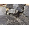 UCLAYS Black Clay, Black Clay, Clay, Edible Clay Pieces (Clumps),