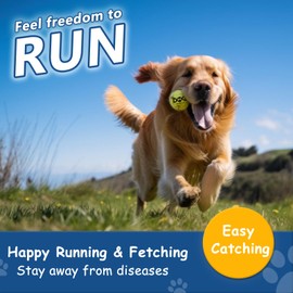 INSUM Large Tennis Balls for Dogs - 8 Pack 3.0'' Durable Non-Toxic Outdoor Dog Toys Balls with Mesh Bag, SGS Certified, Colorful Fetch Toys, Medium Large Breeds