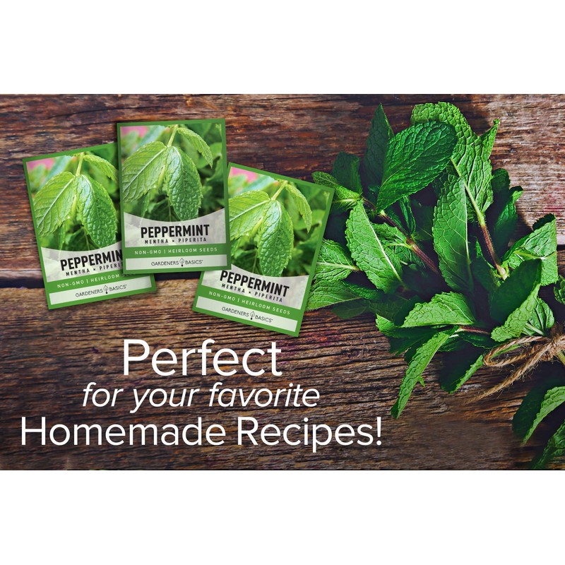 Peppermint Seeds for Planting is A Heirloom, Open-Pollinated, Non-GMO Herb