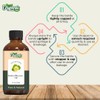 Organic Zing Linden Blossom (Tilia) Oil | Pure & Natural