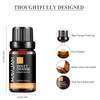 MAYJAM Essential Oil Sweet Orange 10ml Aroma Oil Pure Natural