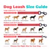 Best Pet Supplies Voyager Nylon Dog Leash - Red, Small