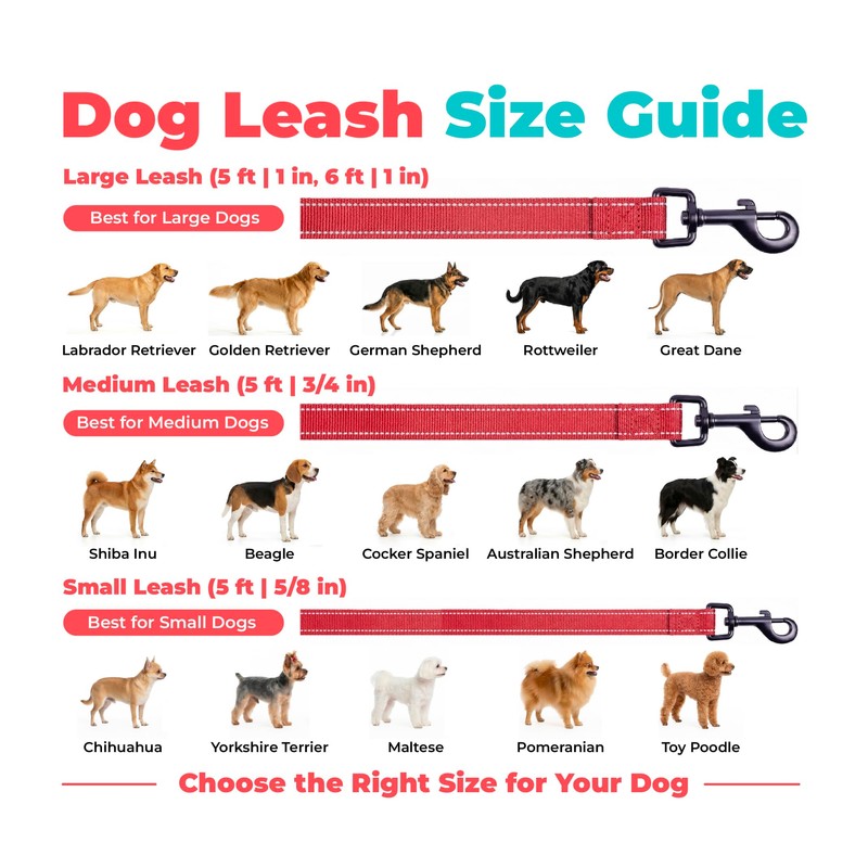 Best Pet Supplies Voyager Nylon Dog Leash - Red, Small