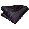 Hi-Tie Men Ties Sets Silk Stripe Paisley Necktie Pocket Square