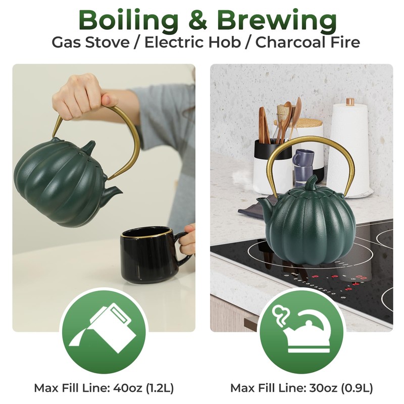 SKIKEN Pumpkin Cast Iron Teapot with Infuser - Japanese Kettle