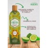 Shampoo Huichol Bergamota Té Verde (crecimiento)