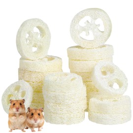 Veemoon 20pcs Hamster Bunny Pet Chewing Toy, Natural Loofah Small Animal Chew Tool Pet Molar Toy for Guinea Pig Chinchilla Hamster Rat Tooth Cleaning and Oral Care Stress Relief Entertainment