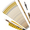 ZSHJGJR 30” Carbon Arrows Hunting Arrows with 4” Turkey Feather