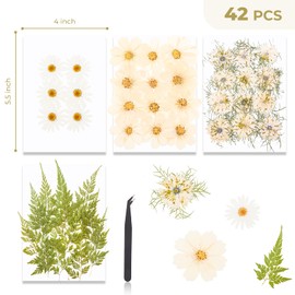YONOVO 42 Pcs White Pressed Flowers for Crafts (Fern, Cosmos,Nigella,Marguerite), Mini Real Natural White Pressed Flowers Kit for DIY Crafts, Resin, Bookmarks, Soap&Candle Making, Nails Decoration