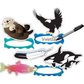 Barker Creek Double-Sided Cut-Outs with Name Tags, Sea & Sky, School Accents, Bulletin Boards, Party Decorations, Office, Home, Classroom Decor, 5.5" Wide, 30 Accents & 15 Name Tags per Pkg (2211)